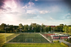 zdjęcie w galerii nr 71