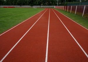 zdjęcie w galerii nr 201